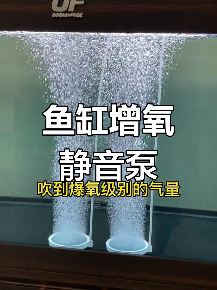 80厘米水深鱼缸爆氧测试,静音气泵效果显著