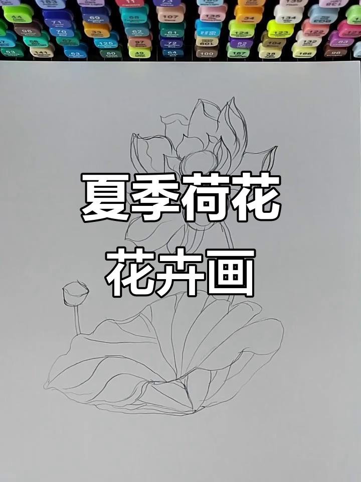 夏日荷花手绘技巧,轻松掌握渐变与高光
