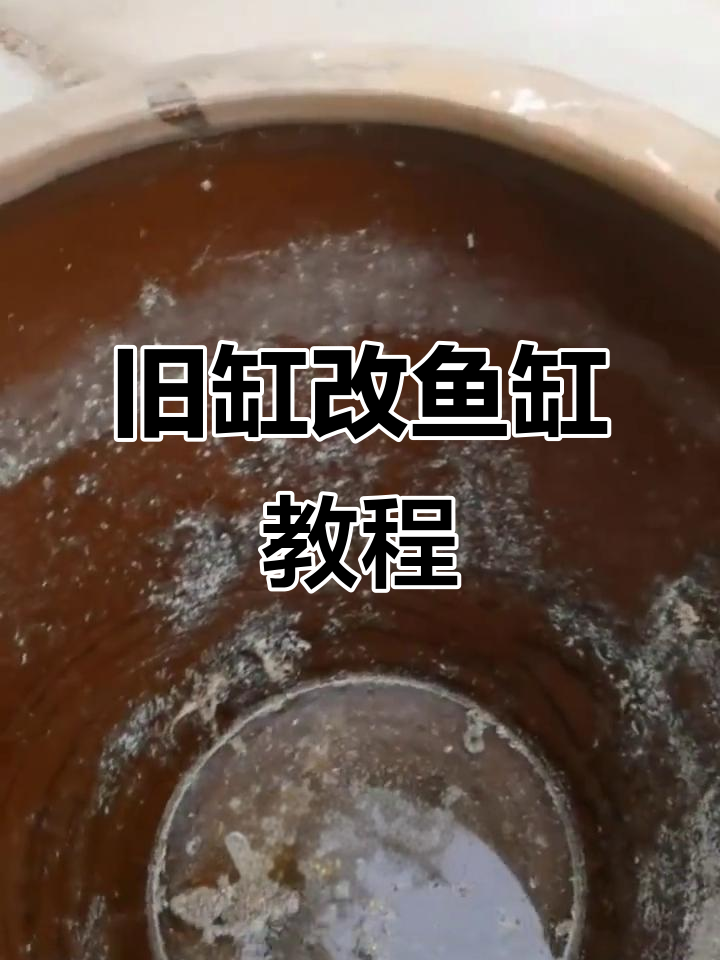 老缸变身金鱼鱼缸，DIY改造全流程揭秘