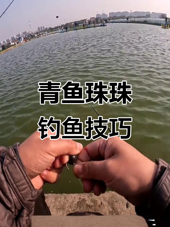 青鱼珠珠钓法揭秘:如何用声音吸引鱼儿上钩