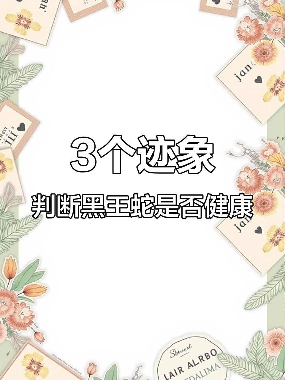 蛇生病前的三大信号,别忽视这些症状