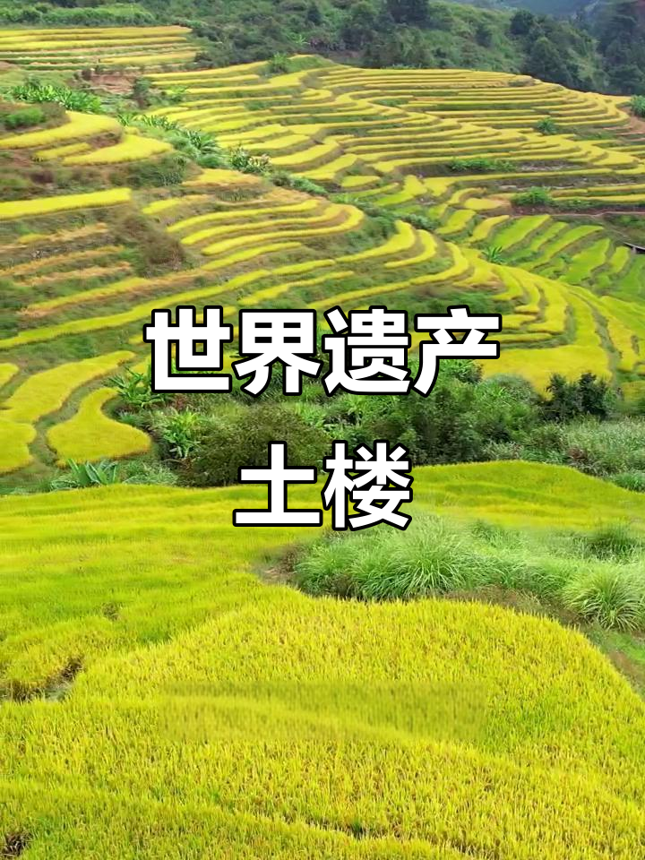 2008年探秘田螺坑土楼,四菜一汤美景