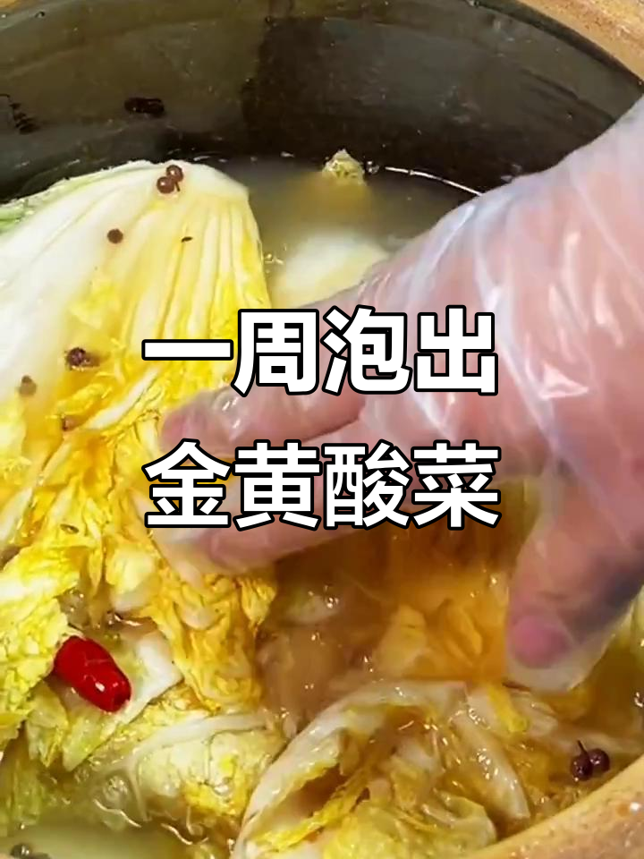 轻松腌酸菜,一周就能吃上脆嫩爽口东北大缸酸菜