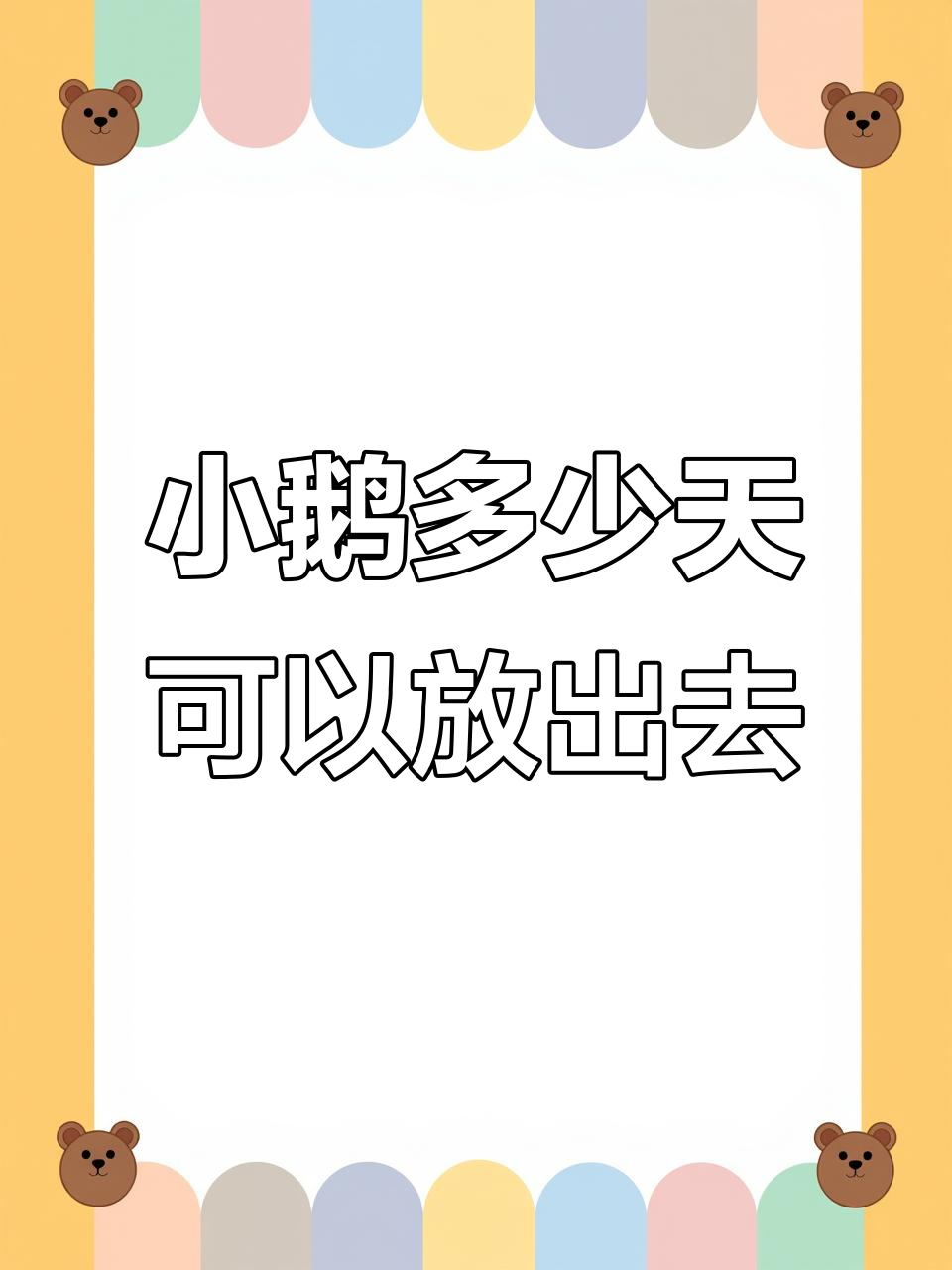 夏季养鹅小得多久能放出去？避免感冒的小技巧分享