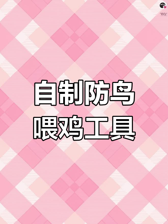 手工制作防鸟盗食喂鸡神器