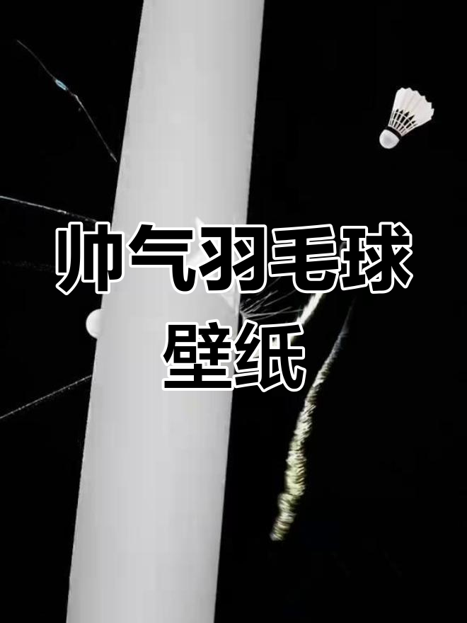 高清羽毛球壁纸,黑色系超帅来袭
