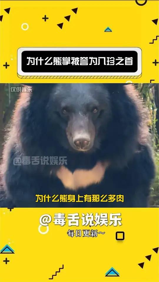 为什么熊掌被誉为八珍之首呢