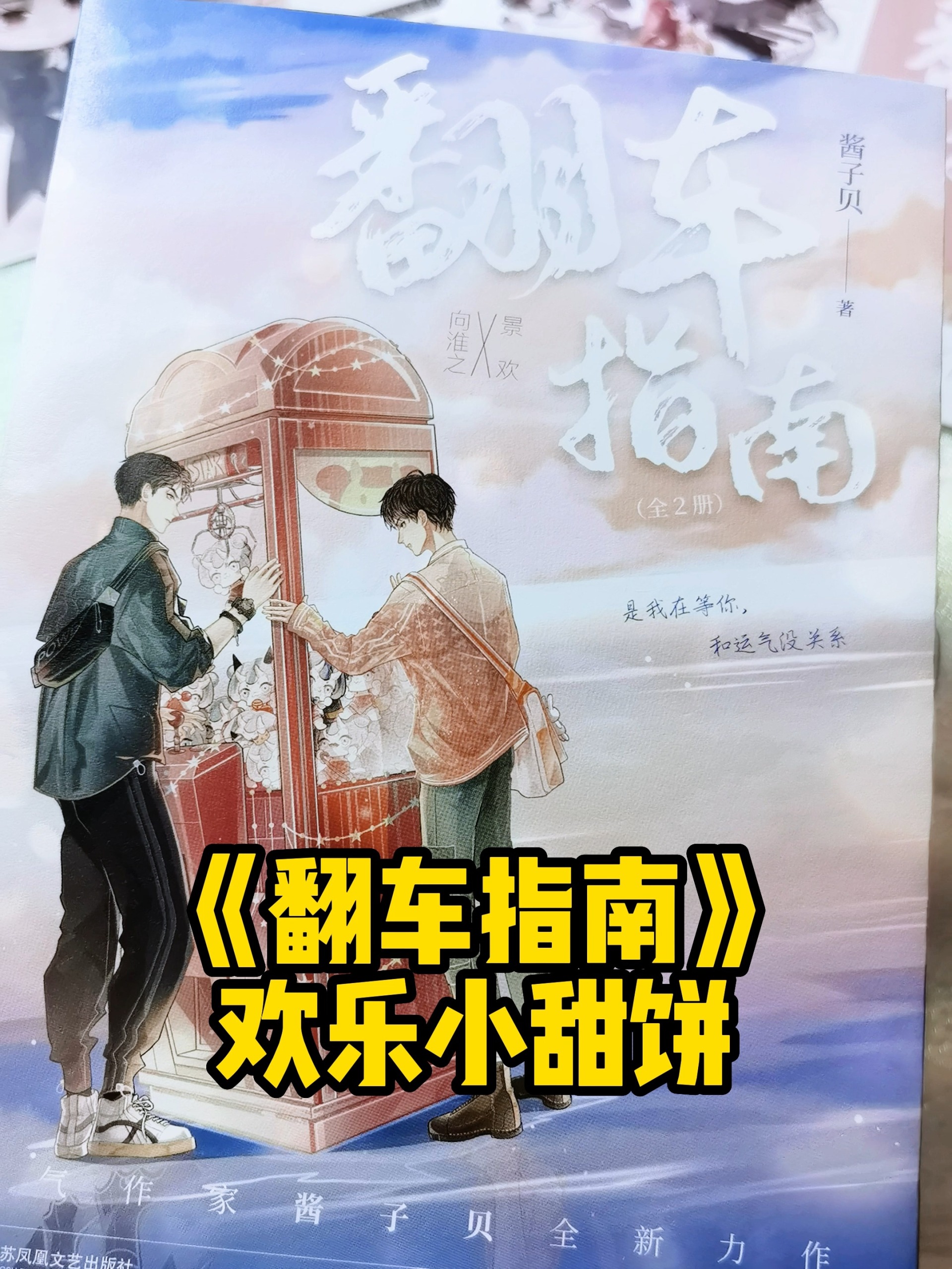 《网恋翻车指南》