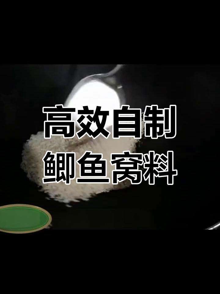 自制鲫鱼酒米窝料配方,快速诱鱼效果显著