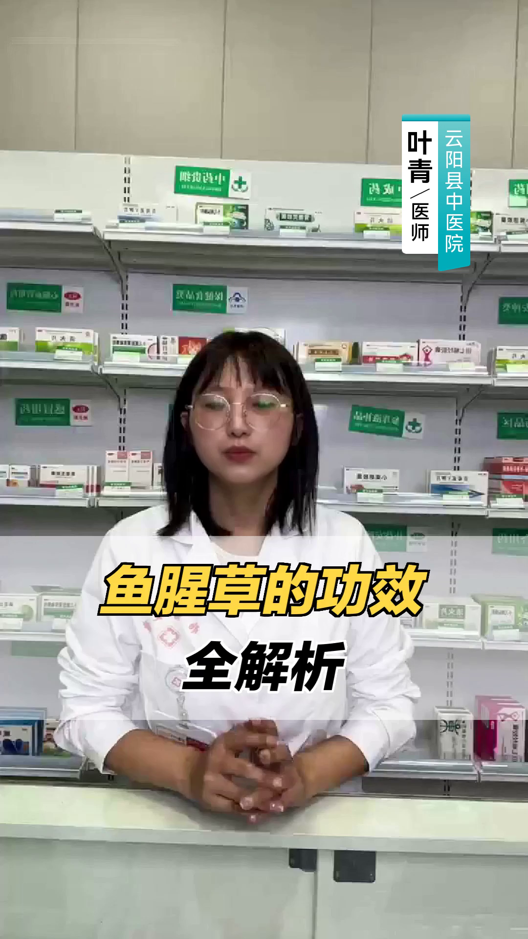 鱼腥草的功效全解析