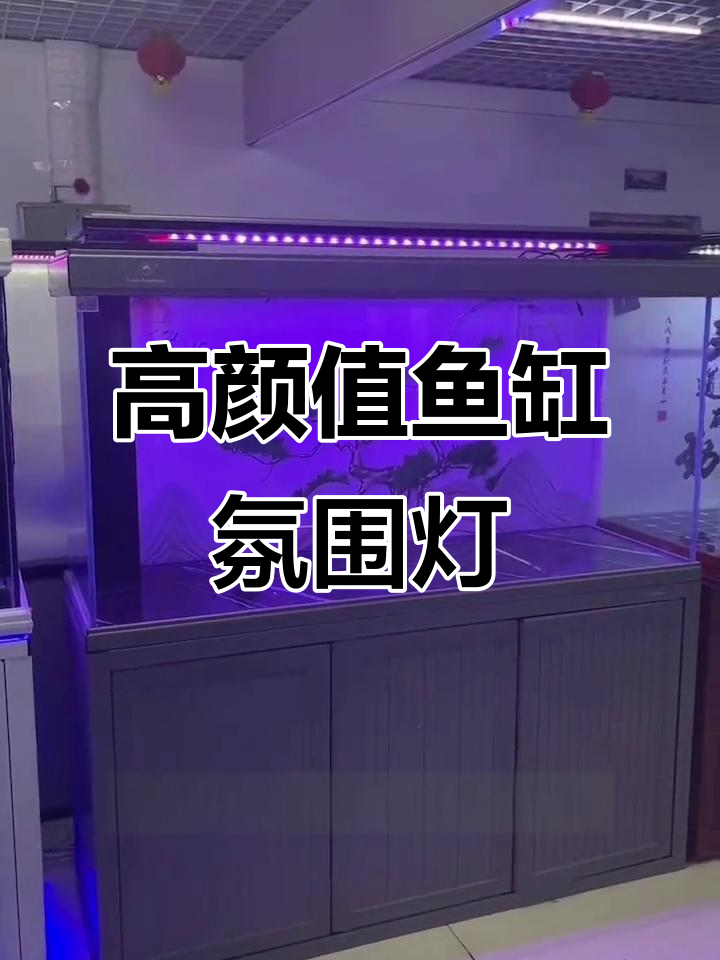欧式轻奢鱼缸氛围灯带,打造高端水族体验