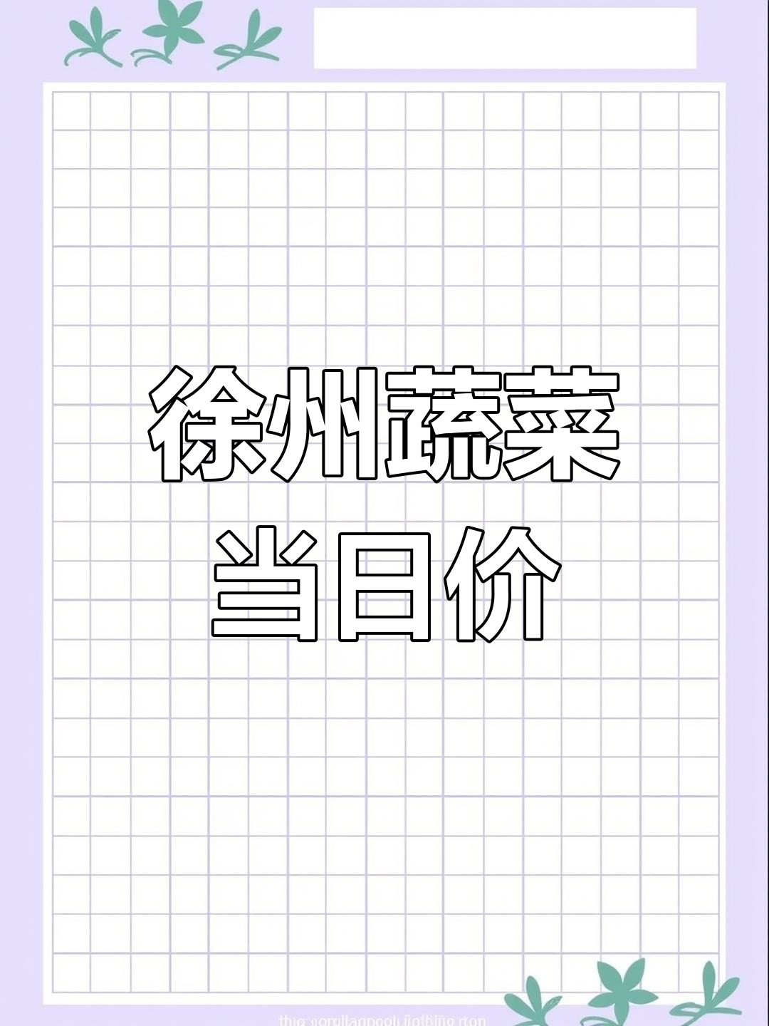 徐州蔬菜价格大揭秘,甘蓝到青菜一应俱全