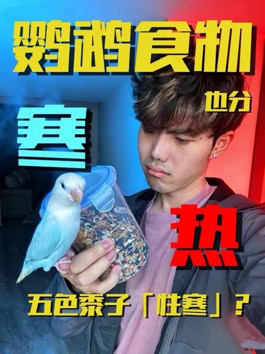 五色黍子是寒性食物？鹦鹉食物也分寒热性吗？