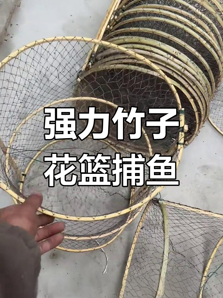 竹子花篮捕鱼网笼,结实耐用,黑鱼甲鱼一网打尽