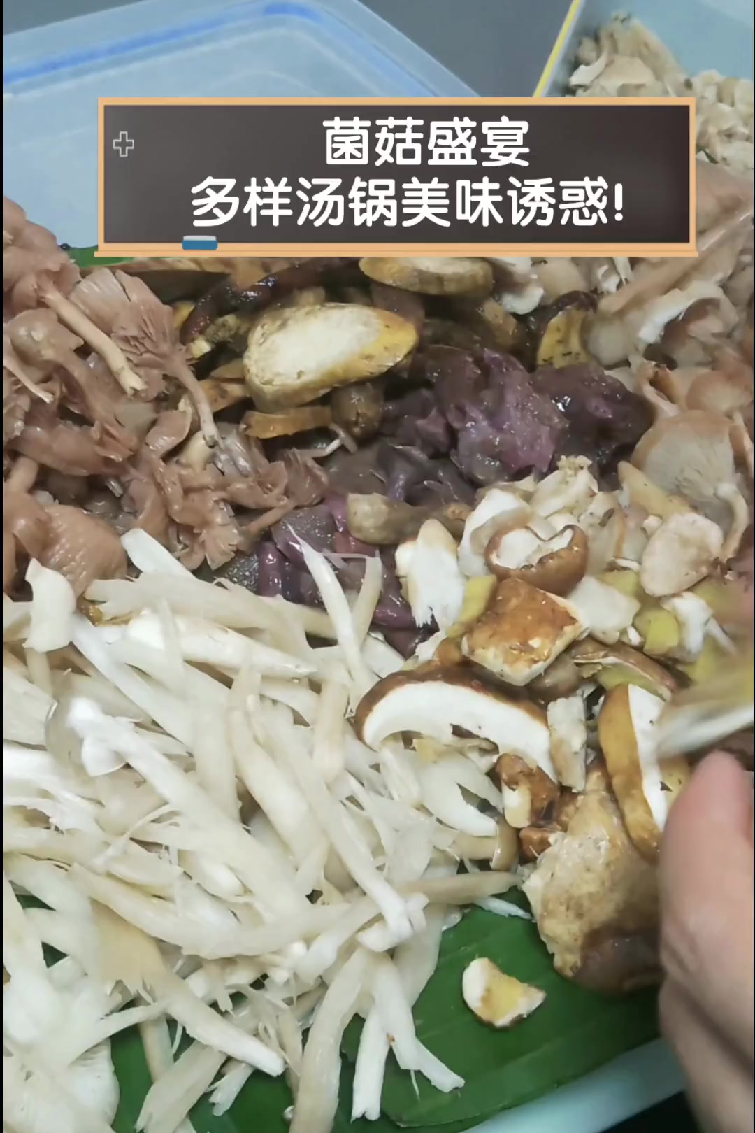 菌菇盛宴,多样汤锅美味诱惑!