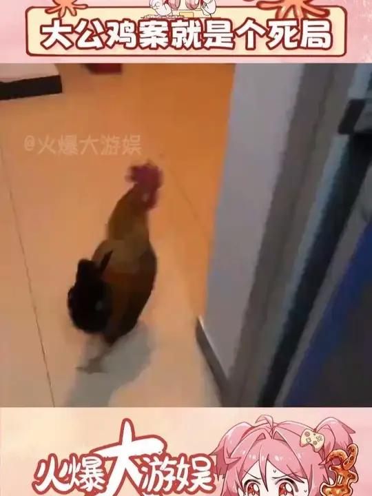 能忍六年才动手 居民素质还是太高了 #大公鸡 #北京 #震惊 #万万没想到