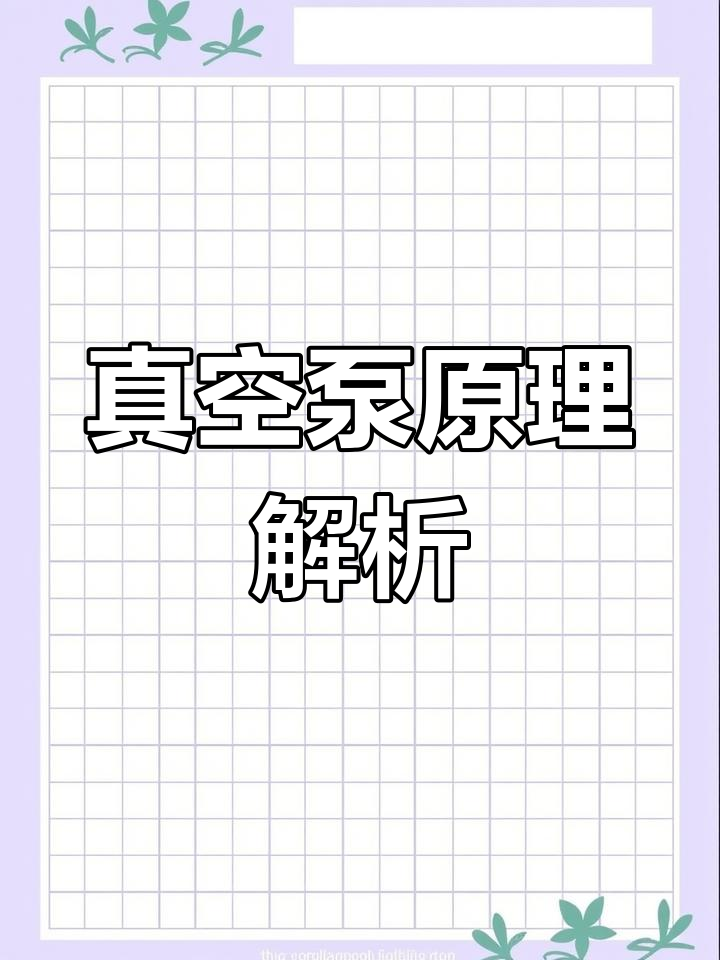 水环真空泵工作原理与结构解析