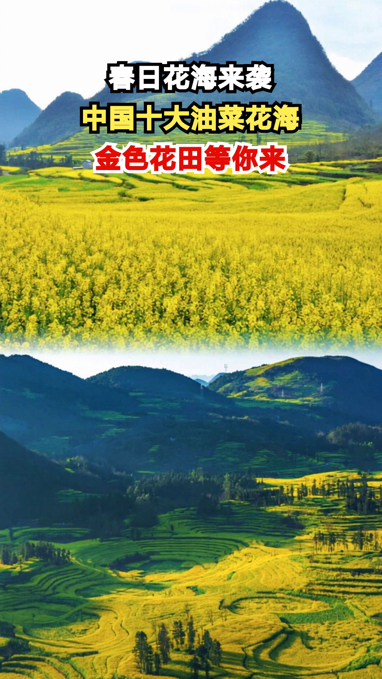 中国十大最美油菜花海，你打卡过几个？春日限定美景不容错过！