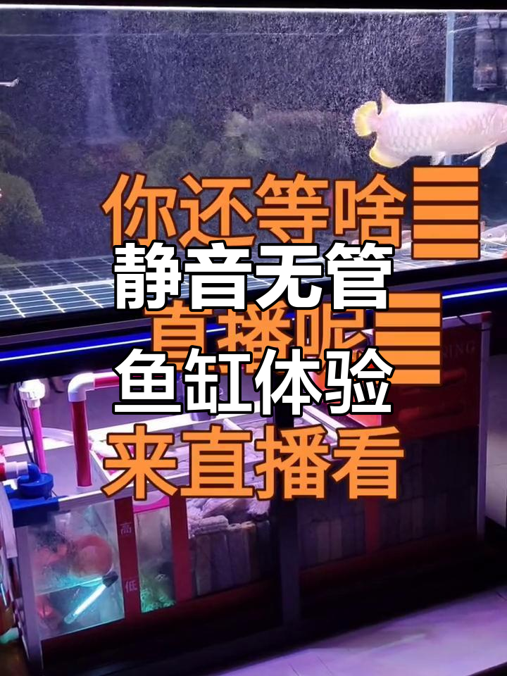 无管道静音鱼缸,循环方式大不同!