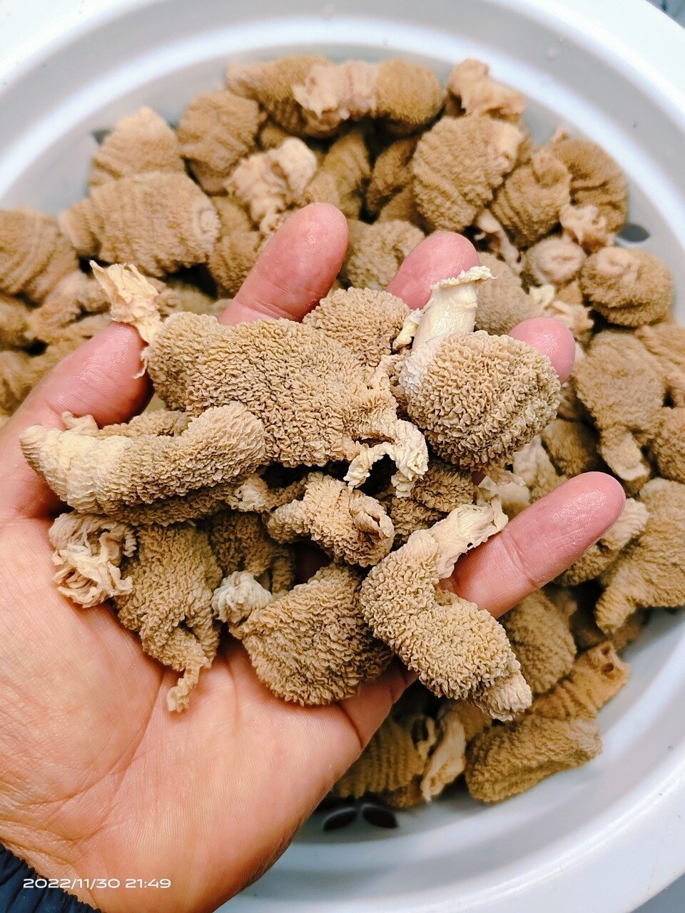火锅串串鸡毛肚