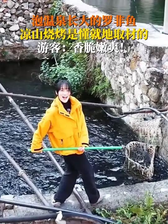 山州甘洛县的温泉水滋养了优质的罗非鱼,当地的罗非鱼不仅少刺,而且脂肪含量低。新鲜烤制的罗非