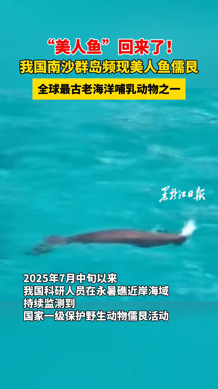 “美人鱼”回来了！我国南沙群岛频现美人鱼儒艮