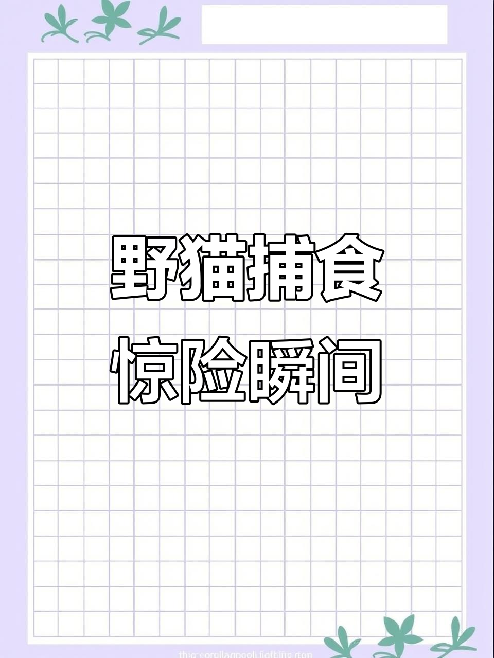 野猫偷袭野鸡，结果被模型吓到！