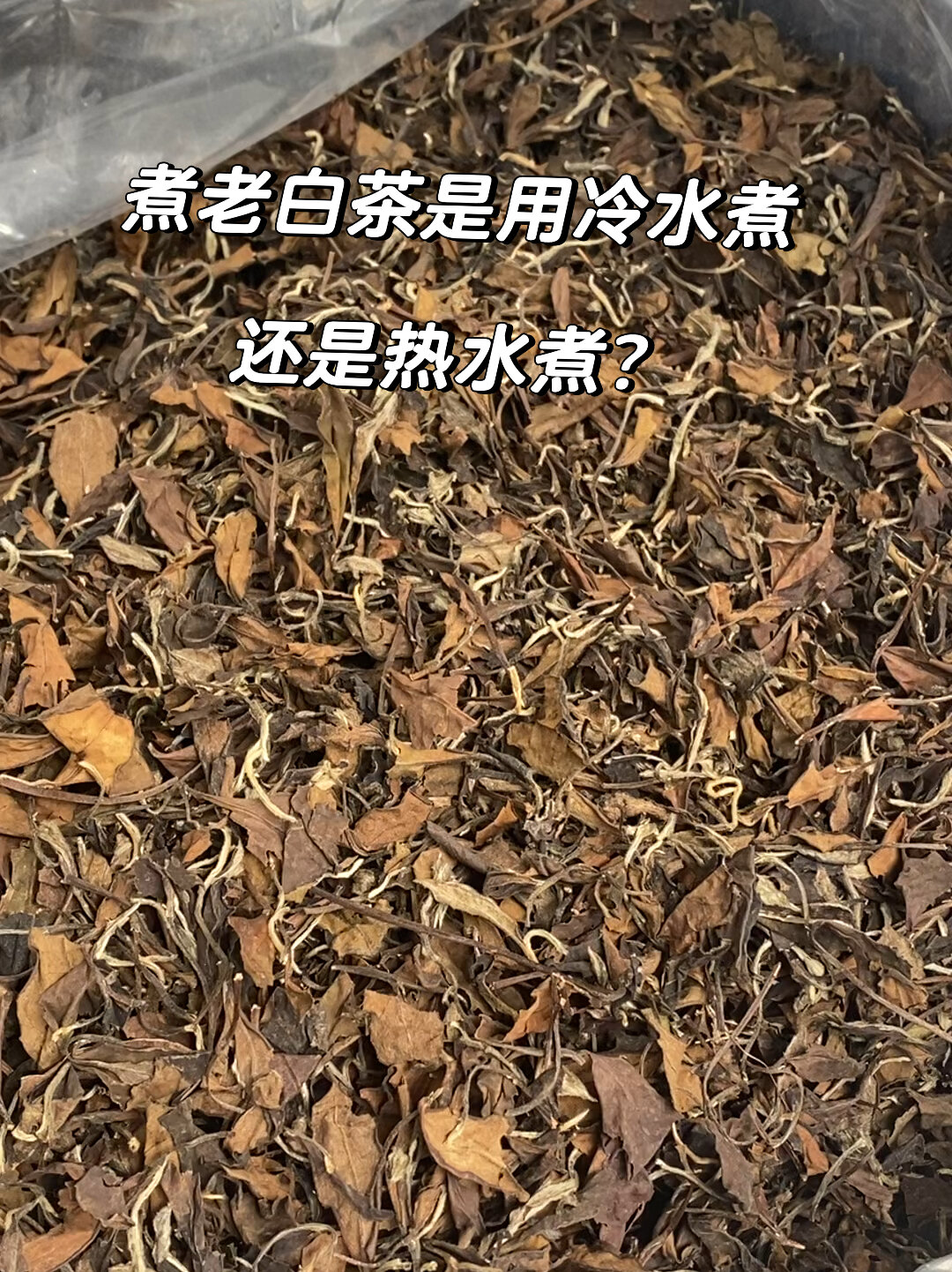 煮老白茶是用冷水煮还是热水煮?