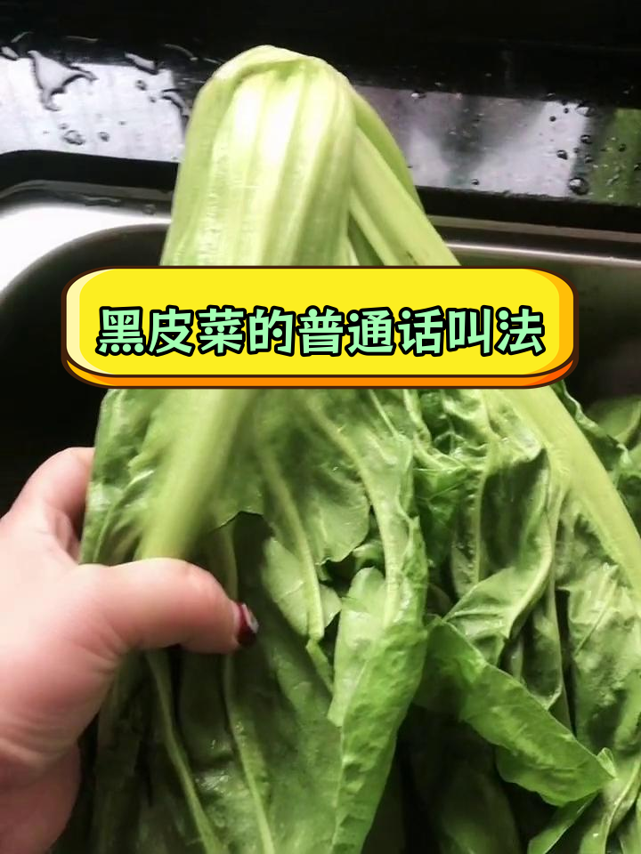 湖南方言中的“黑皮菜”是什么?