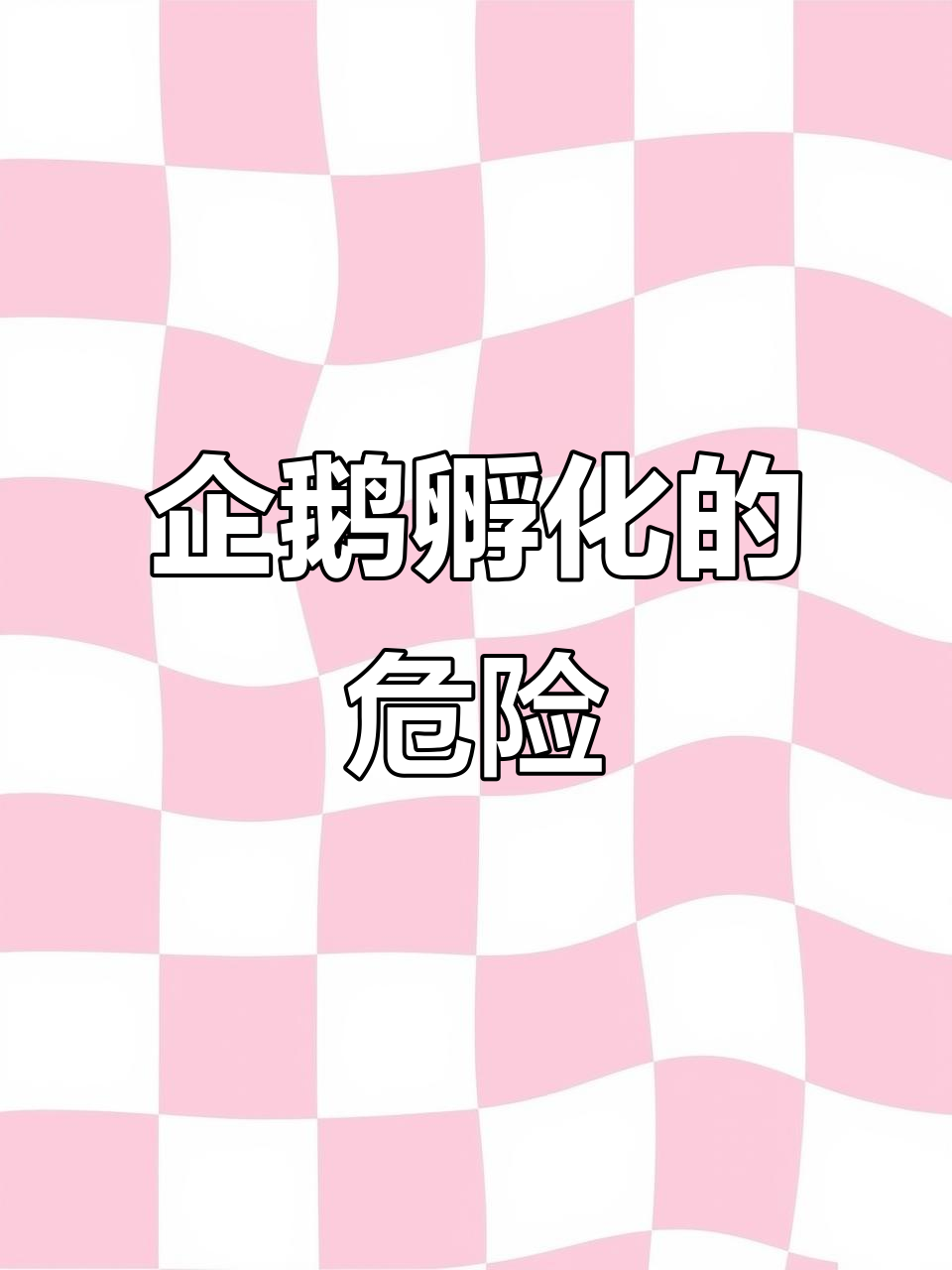 南极企鹅的生死时速：孵化过程中的惊险与残酷