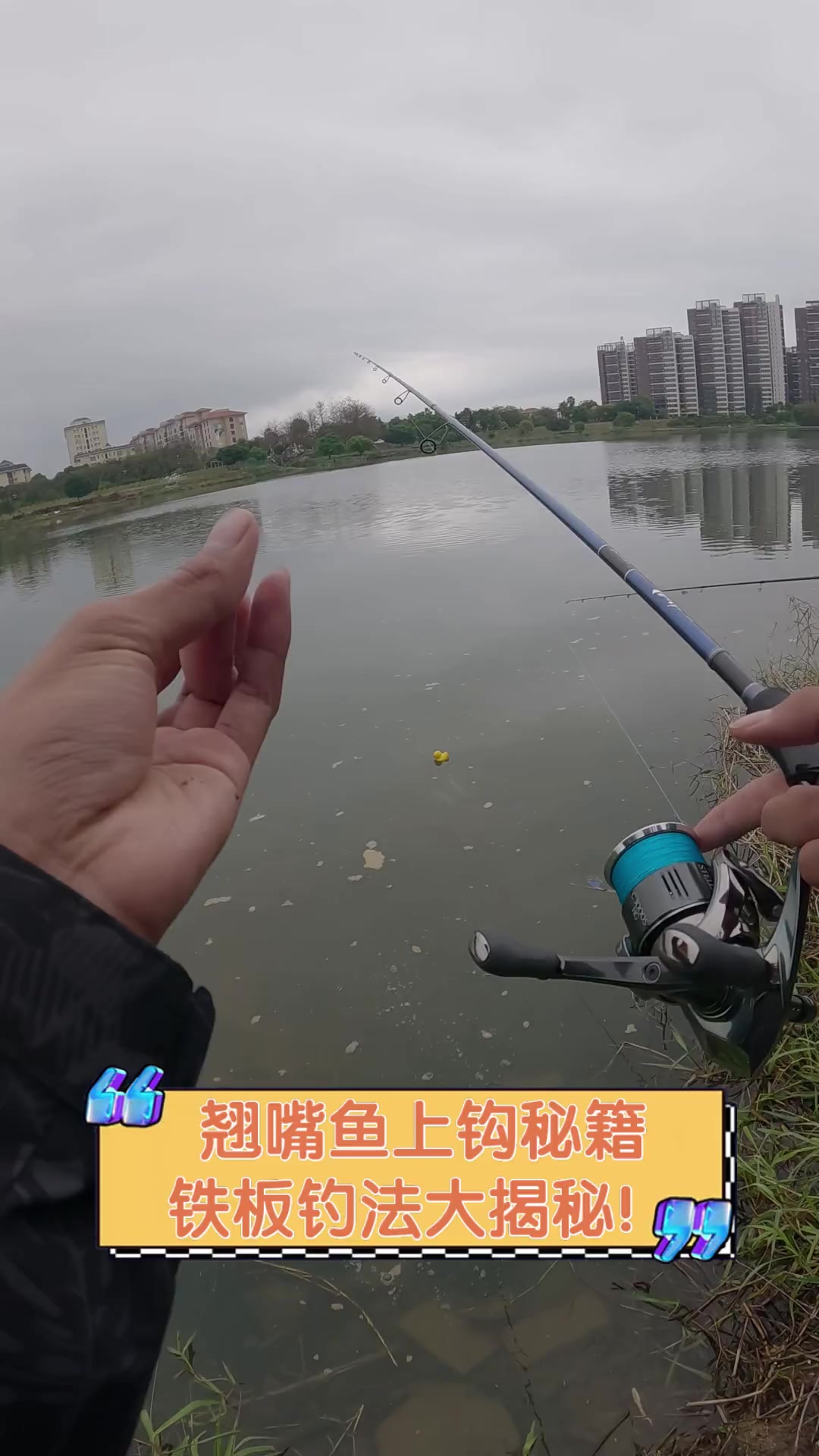 翘嘴鱼上钩秘籍,铁板钓法大揭秘!
