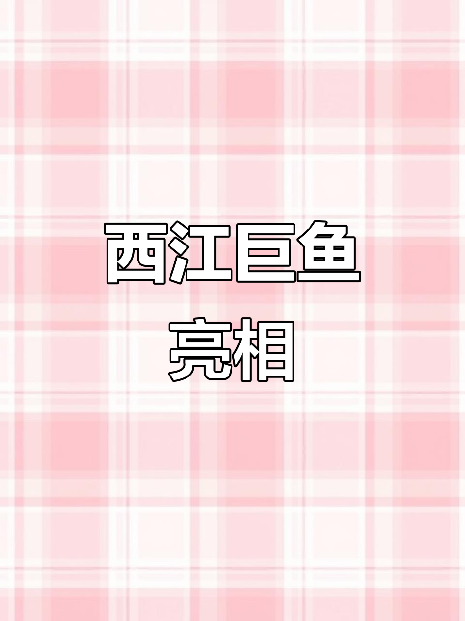 大财哥送来巨型西江鱼,快来看看这罕见的美味!