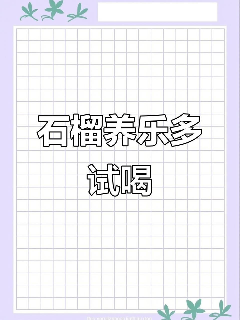 石榴养乐多,网红饮品来袭!快来尝一杯突尼斯软籽石榴的奇妙味道