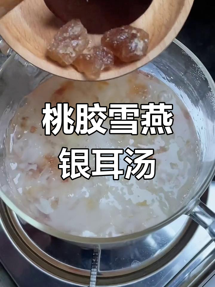 轻松炖煮桃胶雪燕皂角米糖水,银耳羹的做法大揭秘