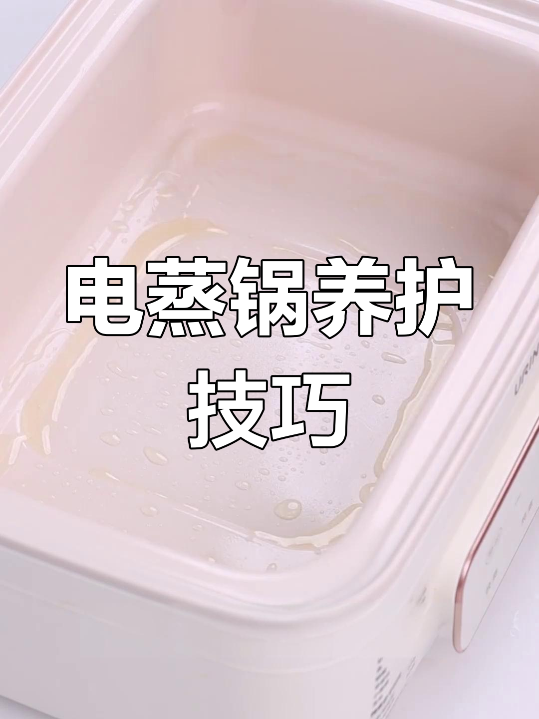 升级版电蒸锅使用指南,轻松保养不粘材质