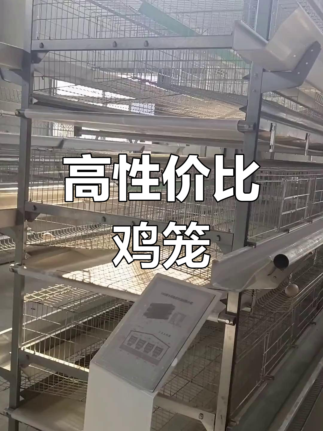 高效鸡笼设计,防疫更便捷