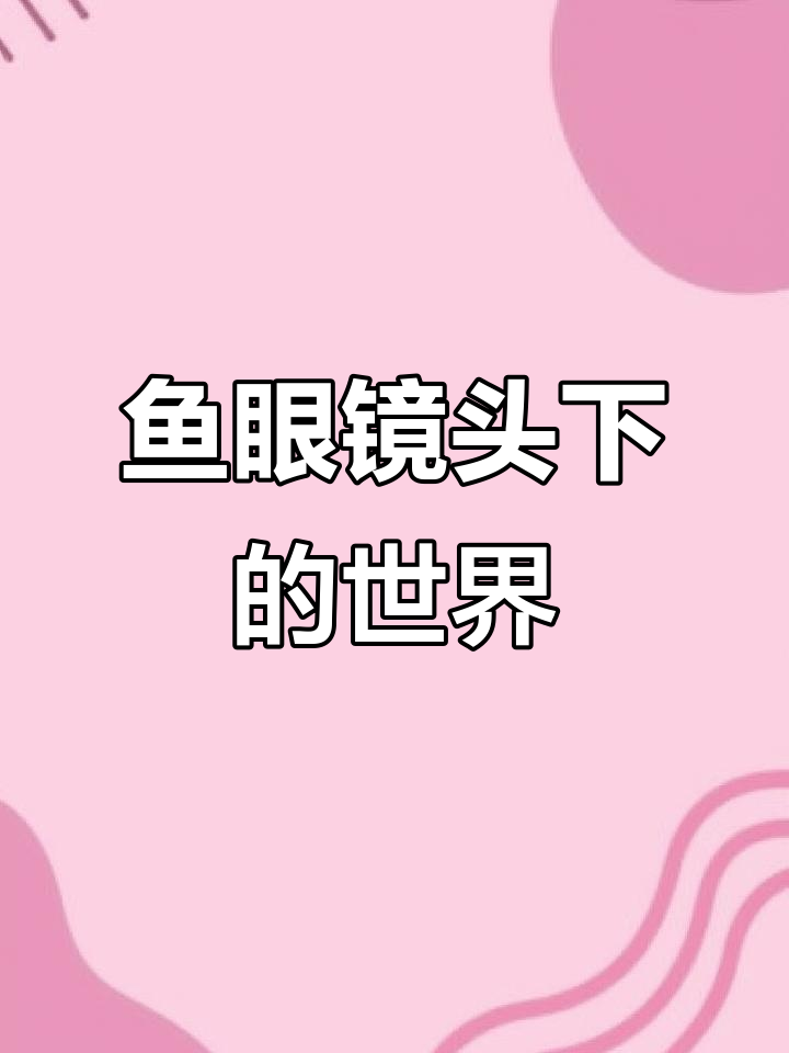 鱼眼镜头让万物更可爱,彩族Z18拍摄效果大变样