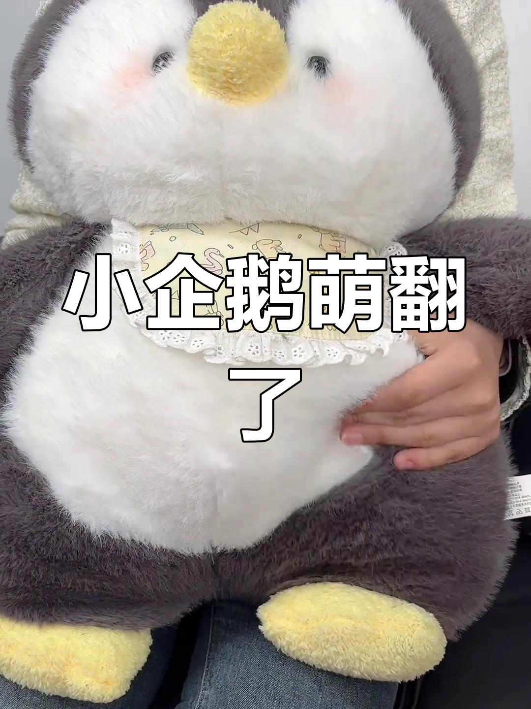 姐姐送的小企鹅太可爱了,胖嘟嘟的让人无法抗拒