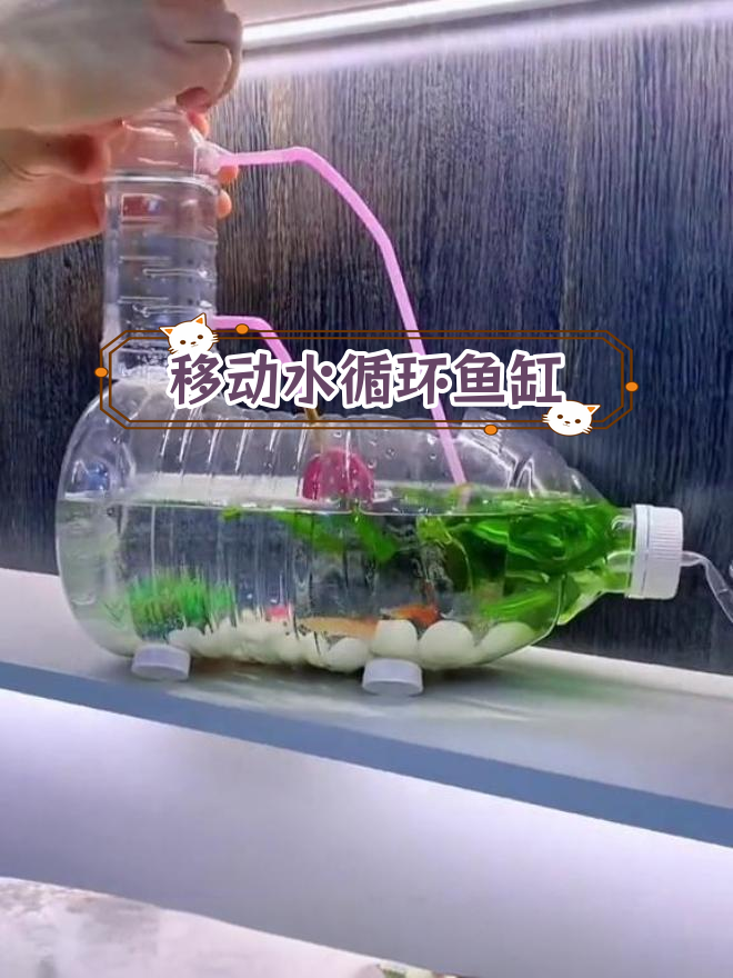 用塑料桶制作简易水循环鱼缸