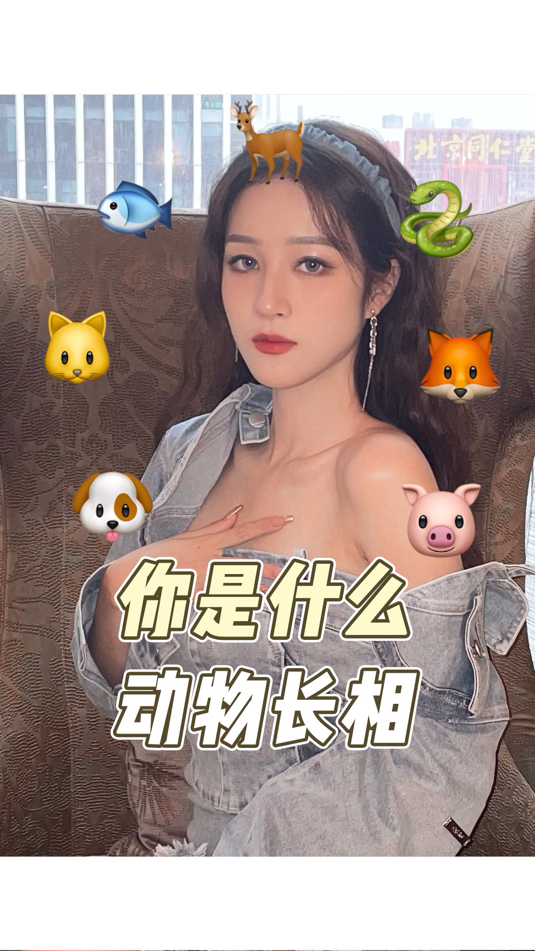 美人千面30秒自测你是哪种动物系长相