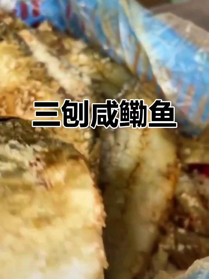 宁波三刨咸鳓鱼,喷香鲜美让人停不下来