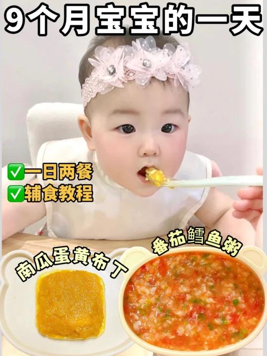 9个月宝宝的一天番茄鳕鱼粥南瓜鸡蛋羹