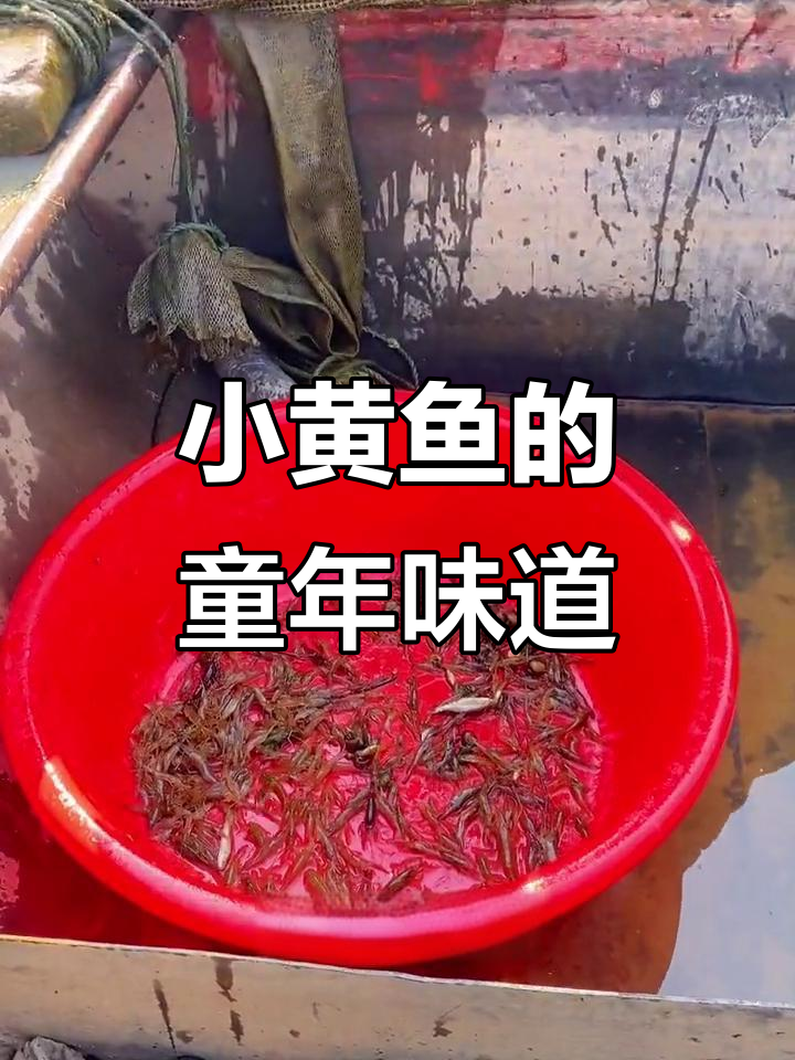 沂河小黄鱼,辣椒炒制香气扑鼻,回味无穷