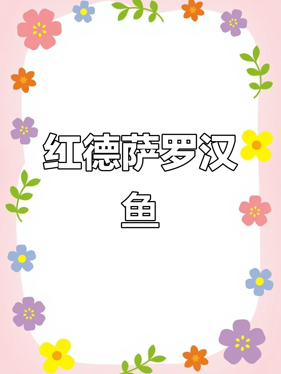 珍稀红德萨罗汉鱼，霸气十足的热带王者