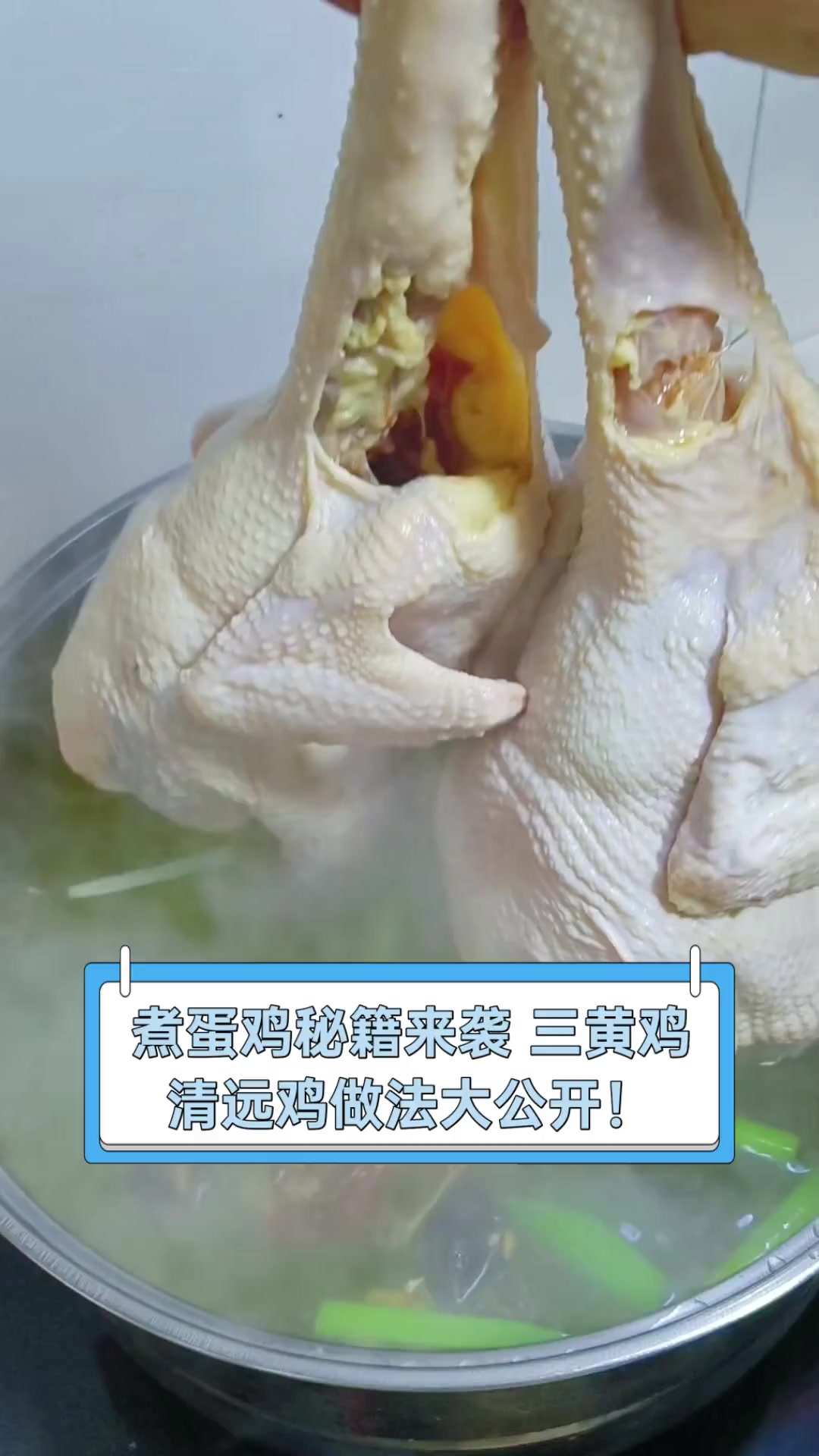 煮蛋鸡秘籍来袭,三黄鸡,清远鸡做法大公开!