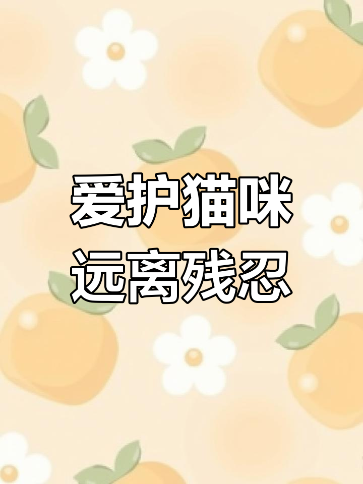 烤猫肉背后的真相:善待宠物,拒绝弃养