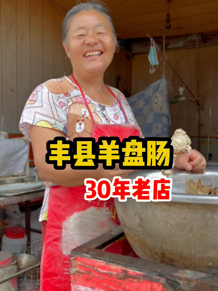 江苏徐州丰县街头小吃头牌《羊盘肠夹烧饼》