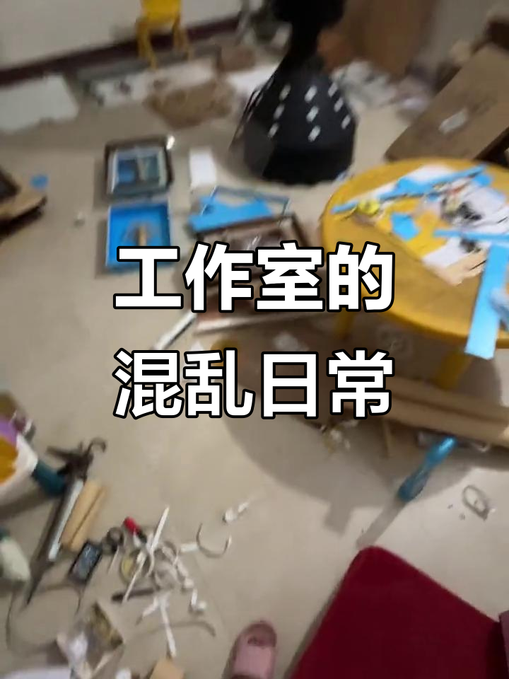乱成一团的工作室日常,龙虾标本制作大作战