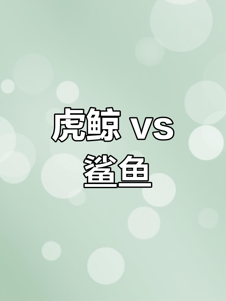 虎鲸与鲨鱼的海战:谁更强?