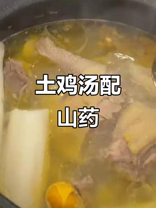 土鸡炖山药,汤鲜美有嚼劲